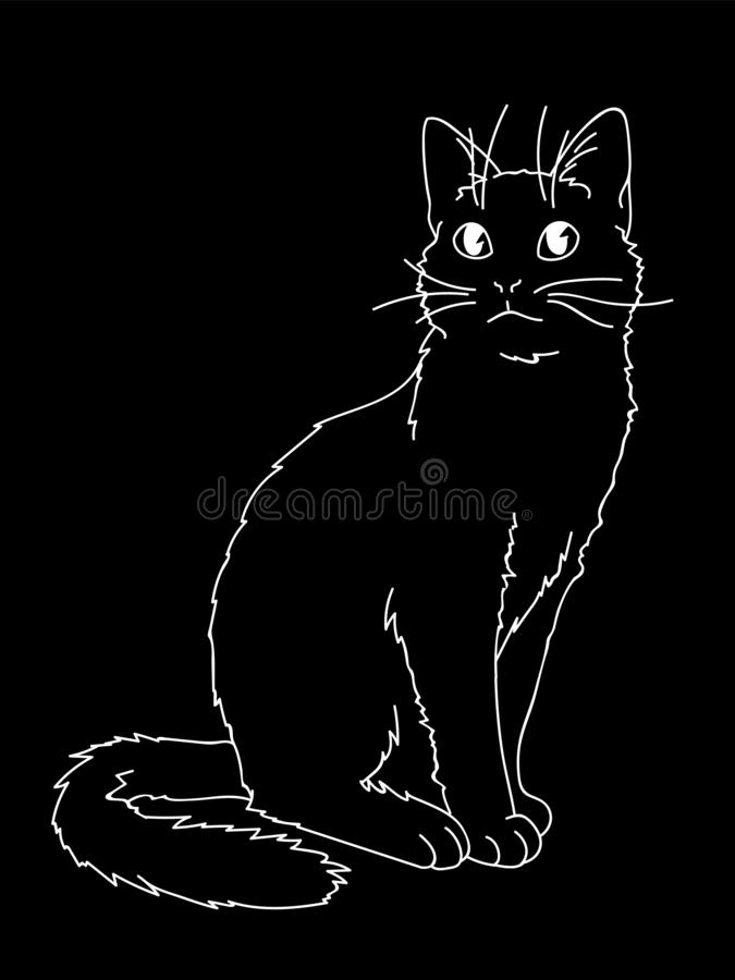 Cat Drawing